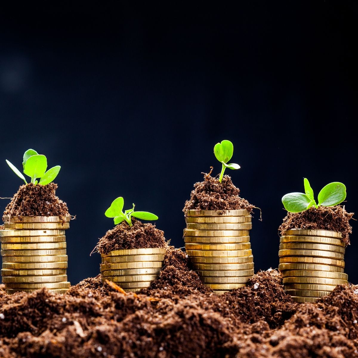 Trade Credit Solutions